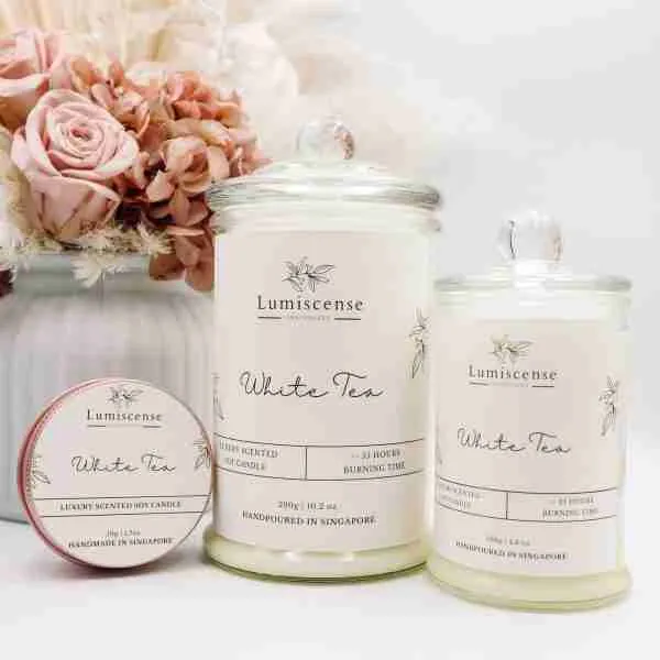 Clearance Lumiscense Soy Wax Candle