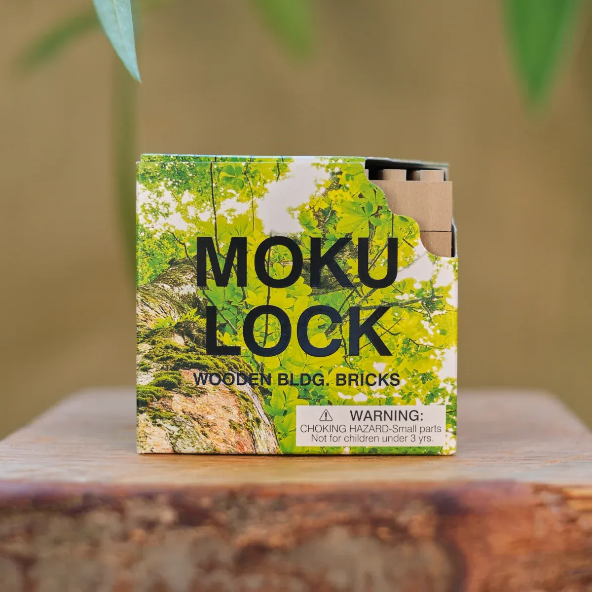 Mokulock Locking Wooden Block Sets - Set of 34