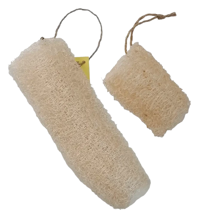 Esponja de Luffa Pequena Biológica Nacional