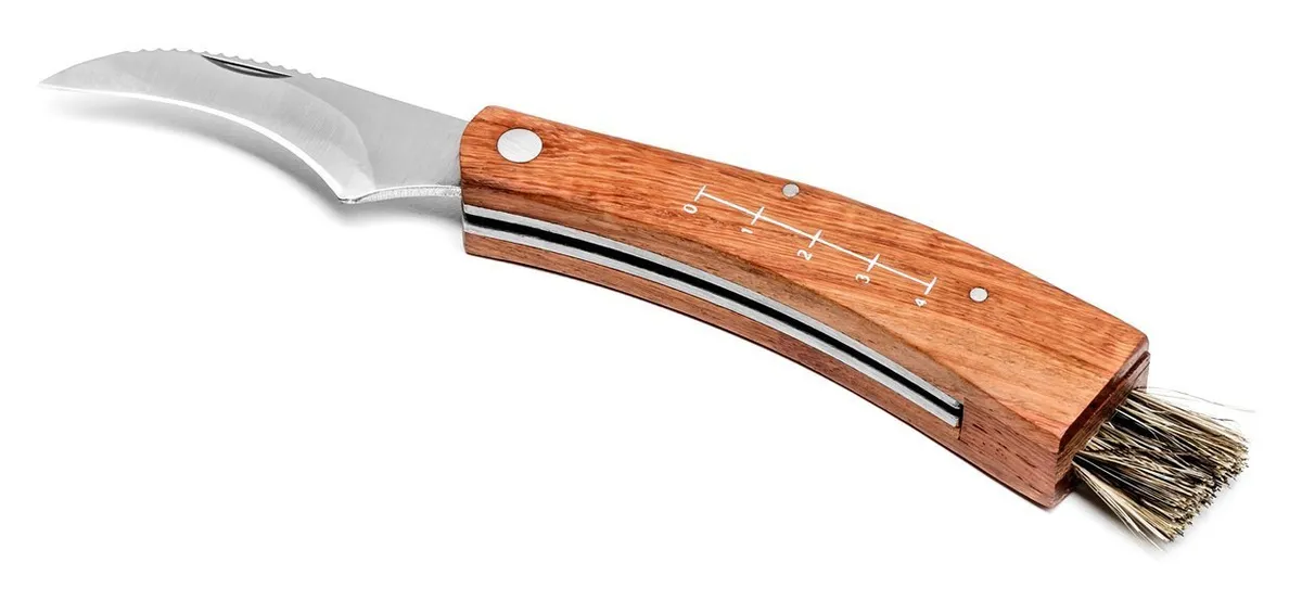 Seenenuga 1 tk