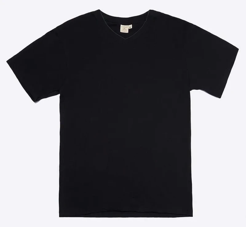 Men's Organic V-Neck Tee in Black