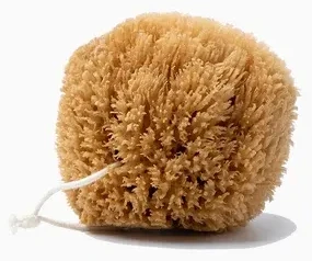 Natural Grass Sea Sponge